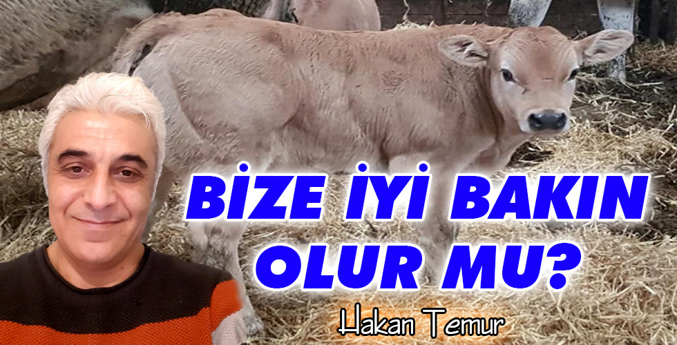 BİZE İYİ BAKIN OLUR MU?