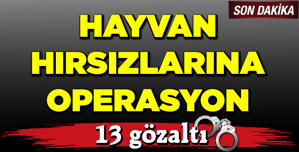 HAYVAN HIRSIZLARINA OPERASYON