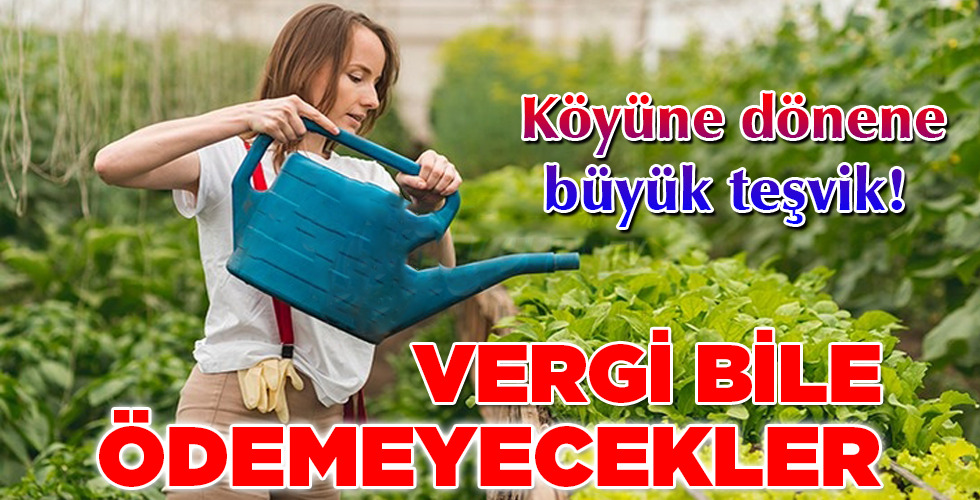 VERGİ BİLE ÖDEMEYECEKLER
