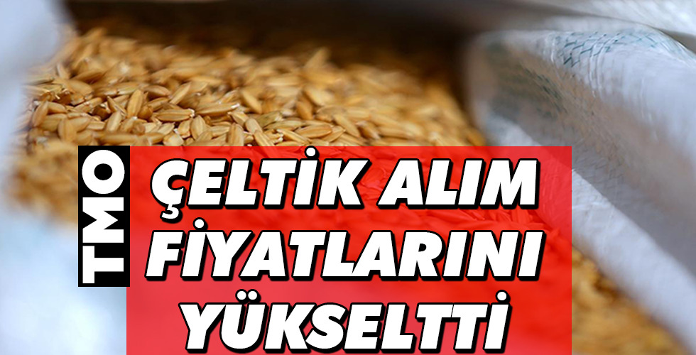 TMO ÇELTİK ALIM FİYATLARINI YÜKSELTTİ