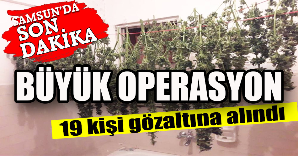 BÜYÜK OPERASYON