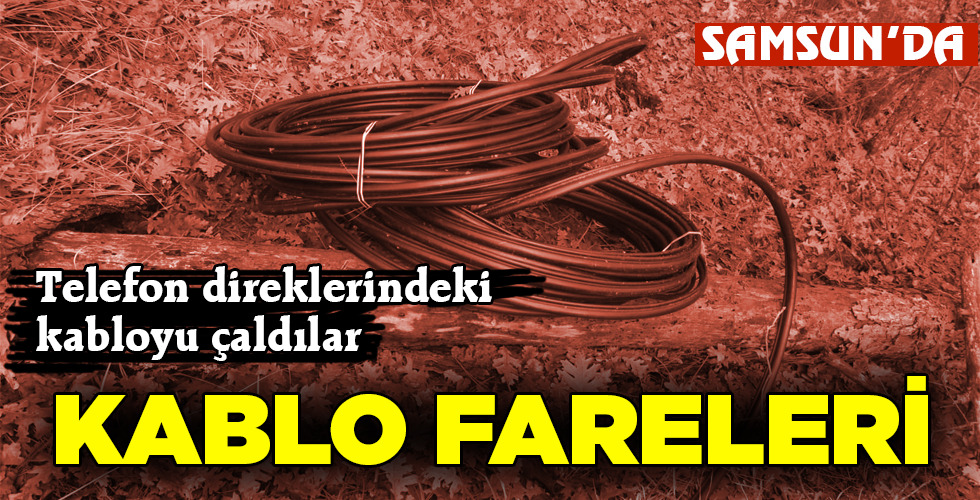 KABLO FARELERİ