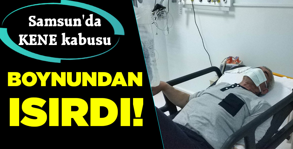 BOYNUNDAN ISIRDI!