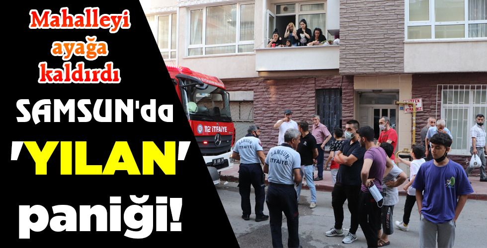 ‘YILAN’ paniği!