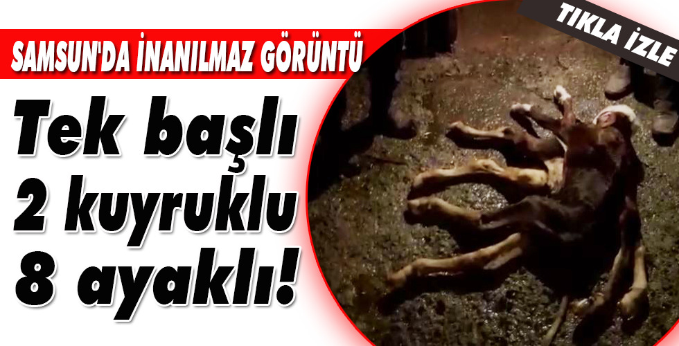 SAMSUN’DA İNANILMAZ GÖRÜNTÜ