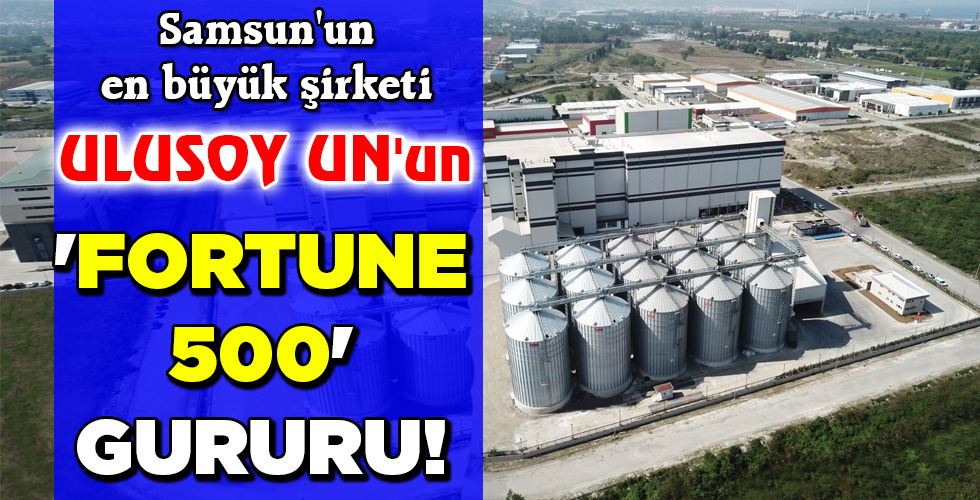 ‘FORTUNE 500’ GURURU!