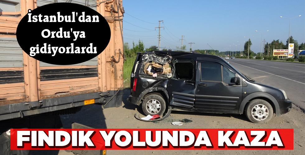 FINDIK YOLUNDA KAZA