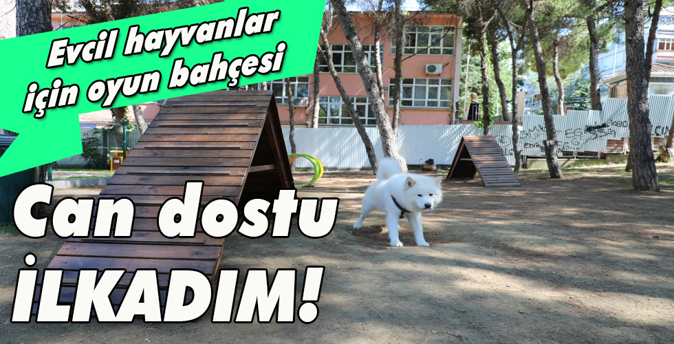 Can dostu İLKADIM!