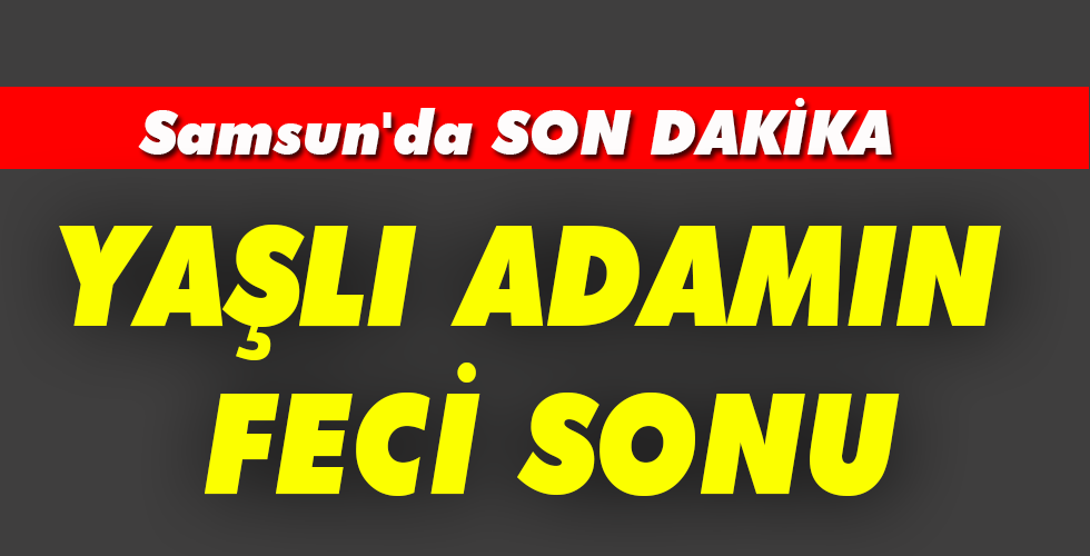İncir ağacından düştü