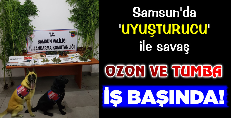 İŞ BAŞINDA!