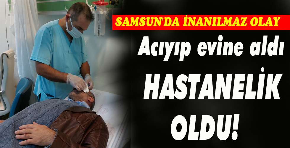 Acıyıp evine aldı HASTANELİK OLDU!