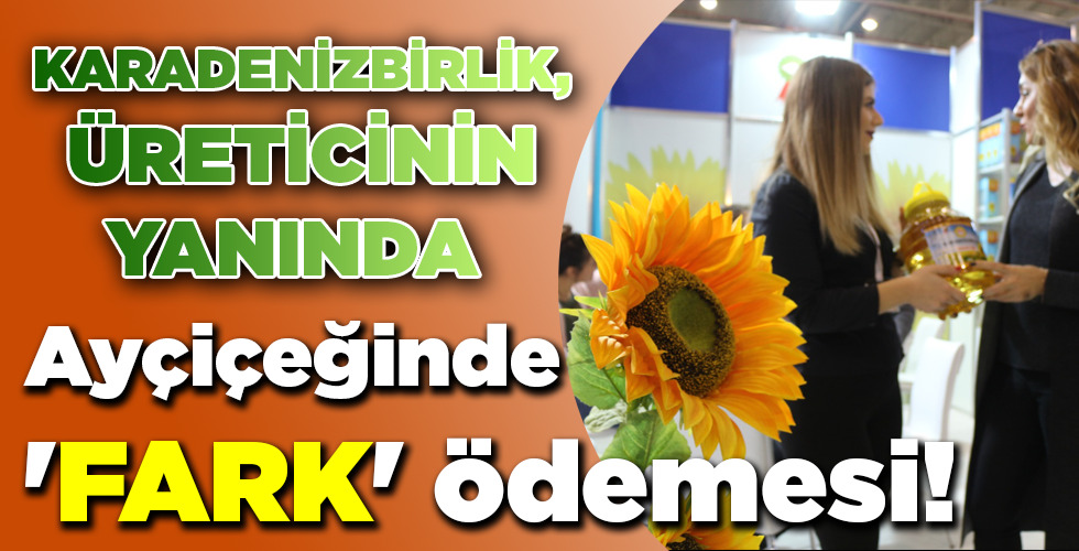 Ayçiçeğinde ‘FARK’ ödemesi!