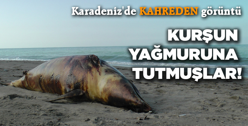 KURŞUN YAĞMURUNA TUTMUŞLAR!