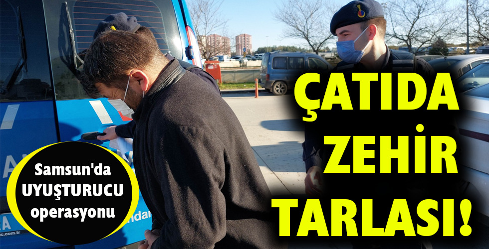 ÇATIDA ZEHİR TARLASI!