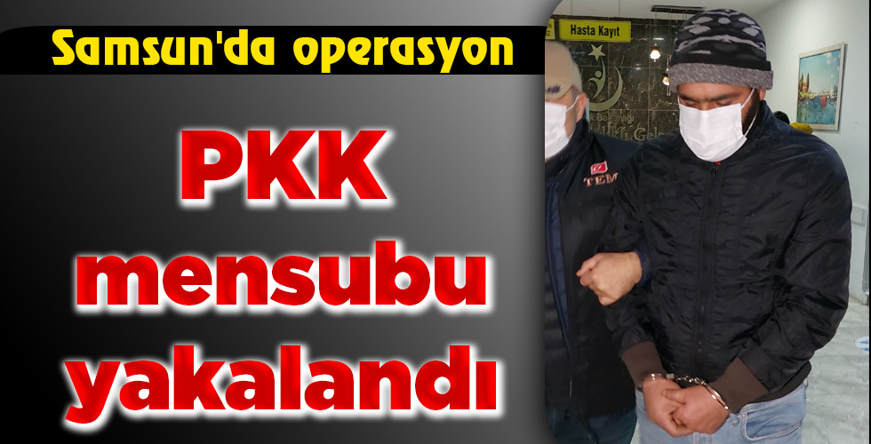 PKK mensubu yakalandı