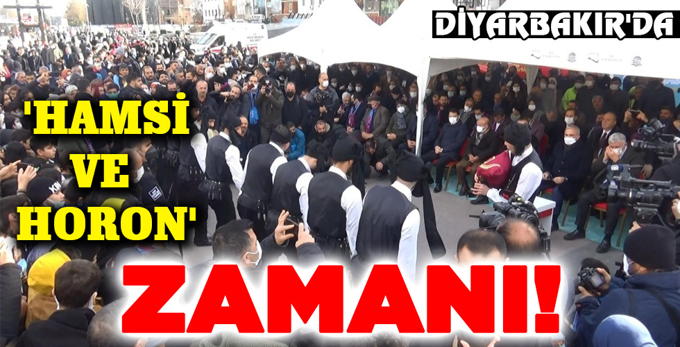 ‘HAMSİ VE HORON’ ZAMANI!