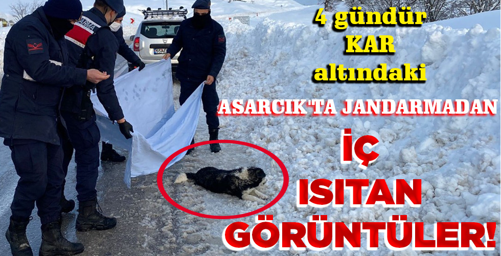 İÇ ISITAN GÖRÜNTÜLER!