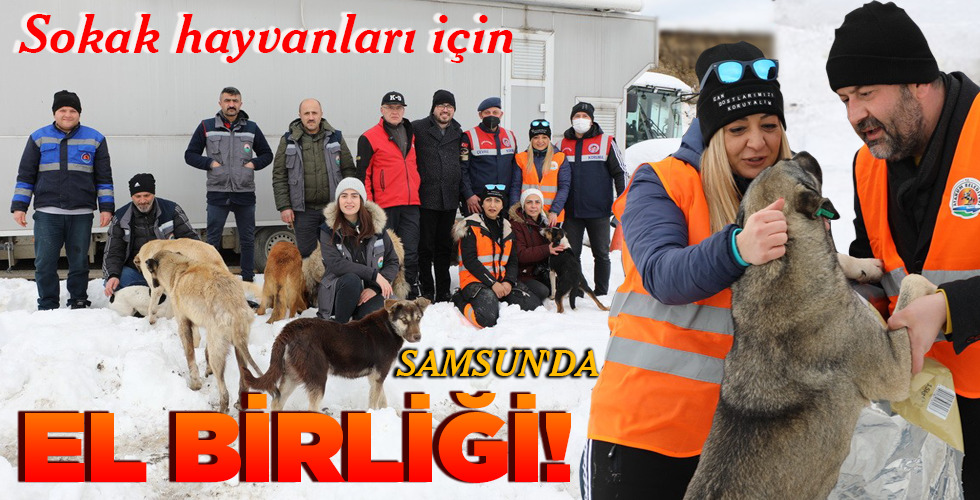 SAMSUN’DA EL BİRLİĞİ!