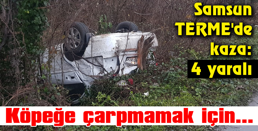 Köpeğe çarpmamak için…