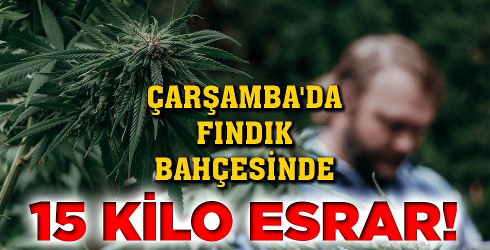 15 KİLO ESRAR!