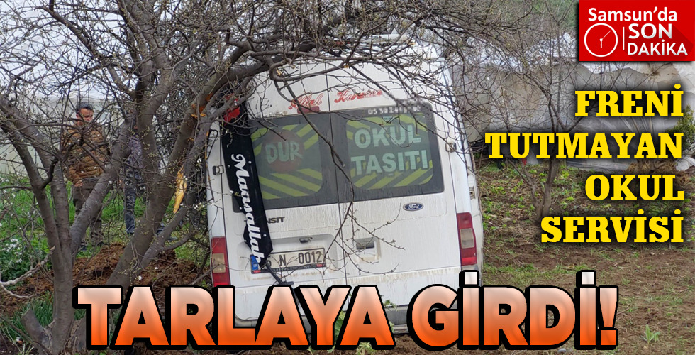 TARLAYA GİRDİ!