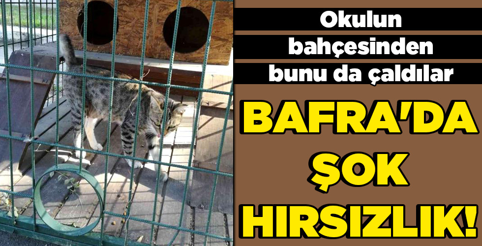 BAFRA’DA ŞOK HIRSIZLIK!