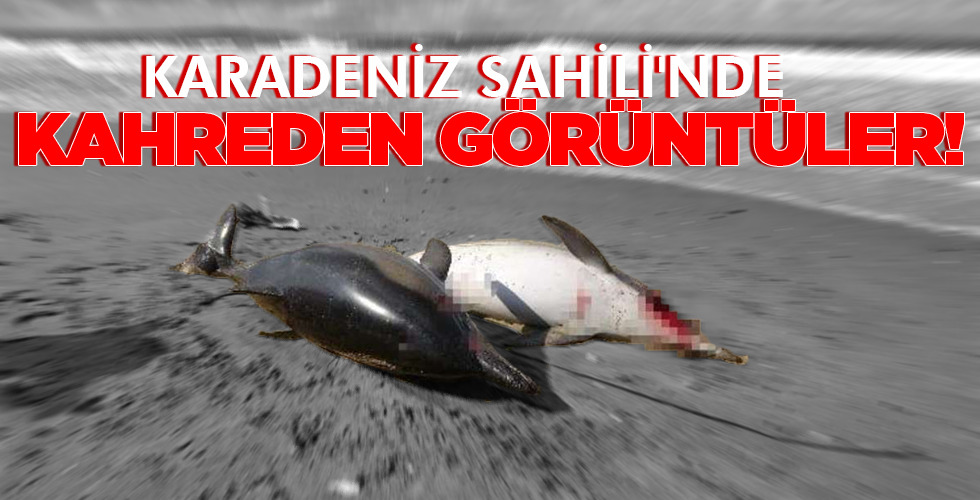 KAHREDEN GÖRÜNTÜLER!