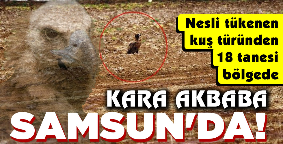 SAMSUN’DA!