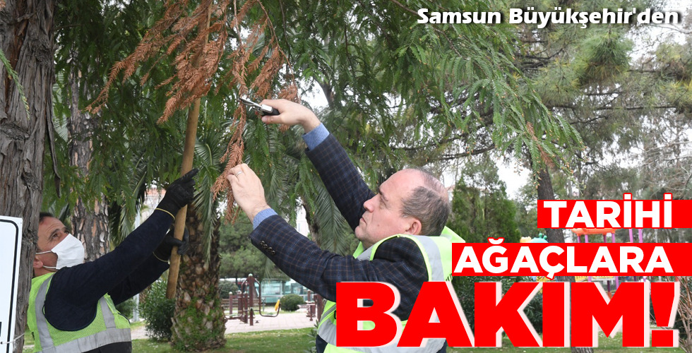 BAKIM!