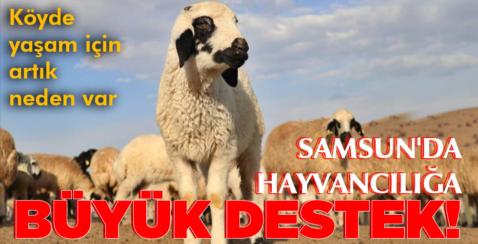 BÜYÜK DESTEK!