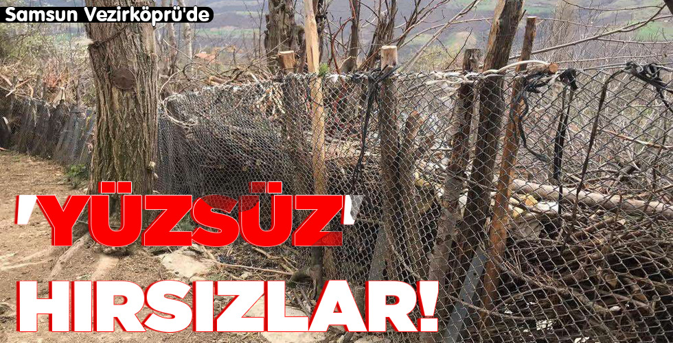 ‘YÜZSÜZ’ HIRSIZLAR!