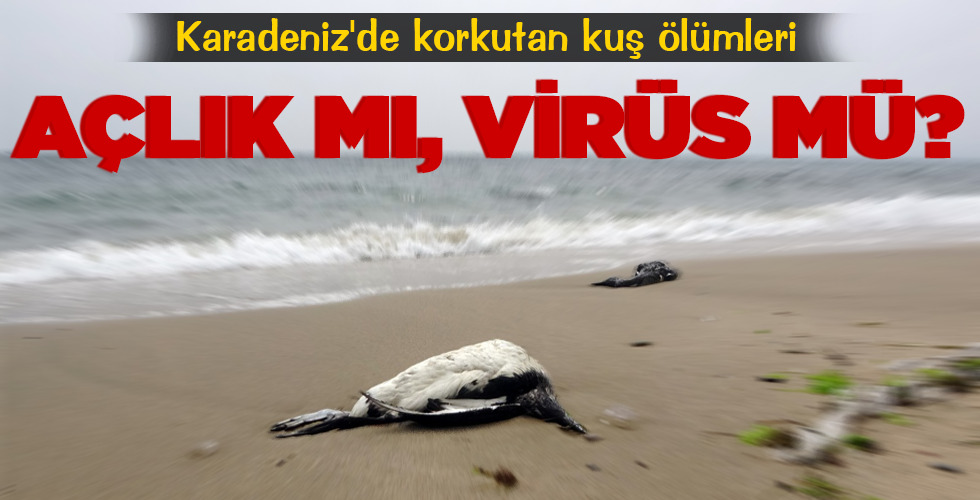 AÇLIK MI, VİRÜS MÜ?