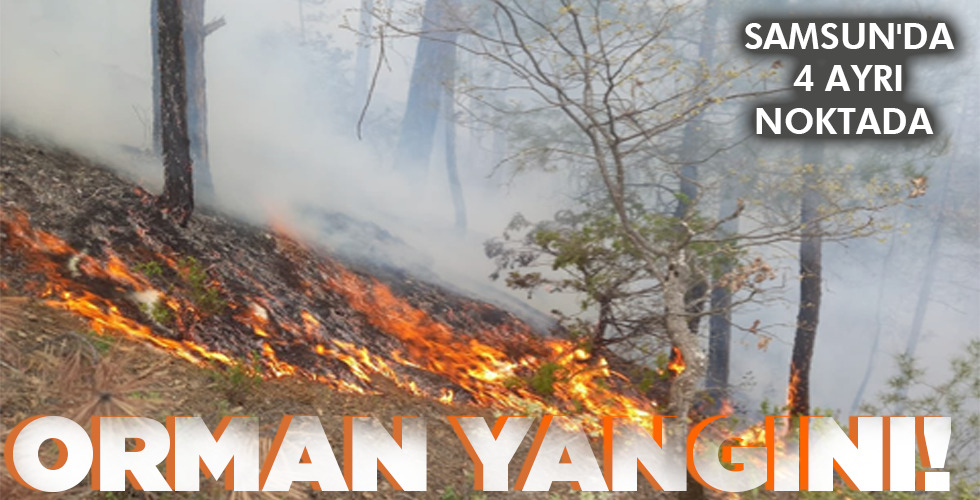 ORMAN YANGINI!