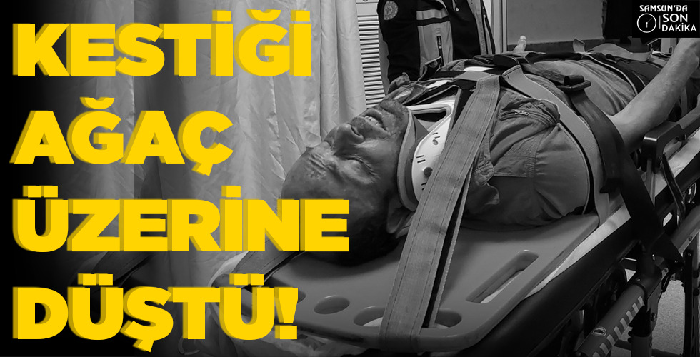 KESTİĞİ AĞAÇ   ÜZERİNE DÜŞTÜ!