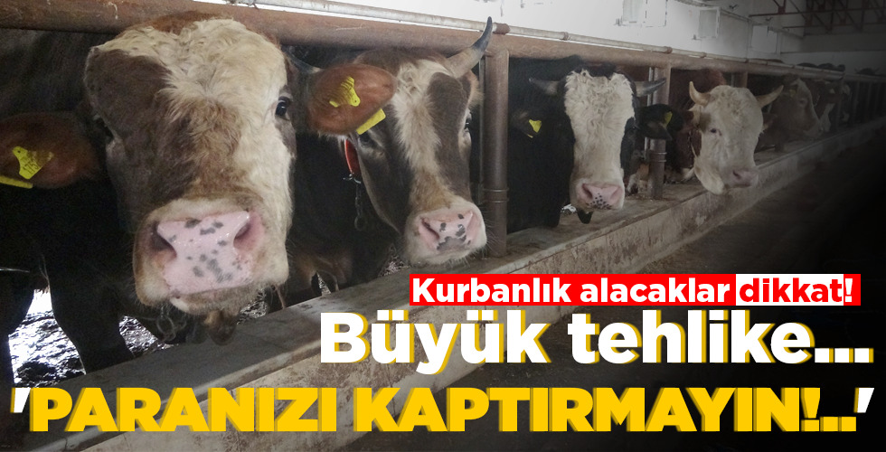 ‘PARANIZI KAPTIRMAYIN!..’