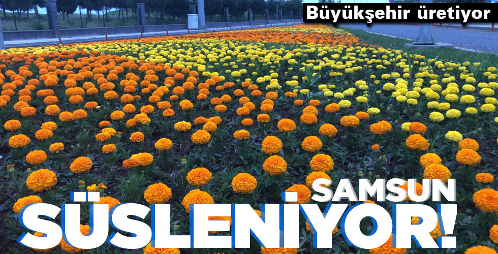SAMSUN SÜSLENİYOR!