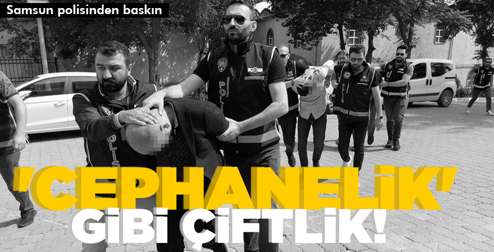 ‘CEPHANELİK’ GİBİ ÇİFTLİK!