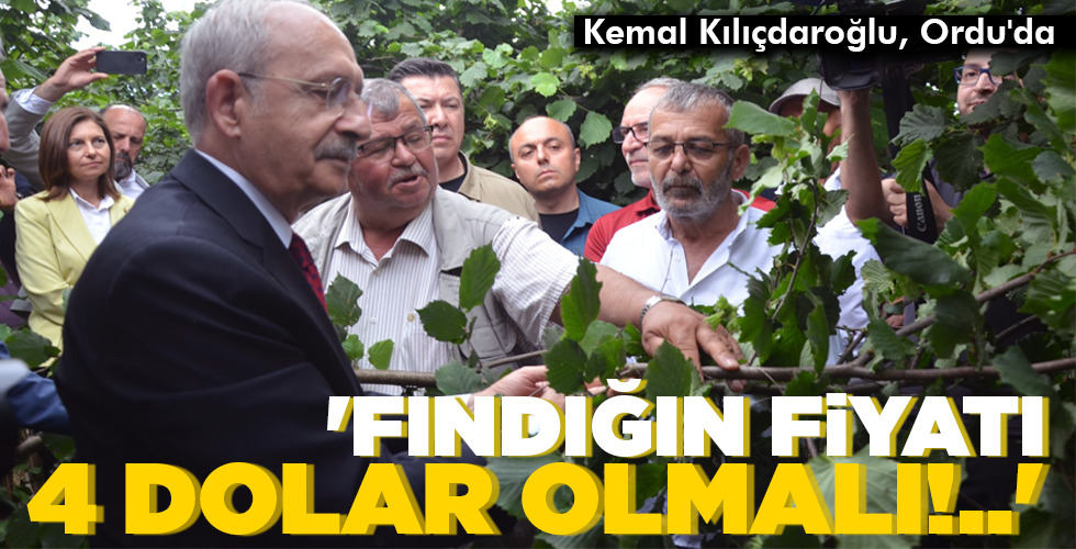 ‘FINDIĞIN FİYATI 4 DOLAR OLMALI!..’