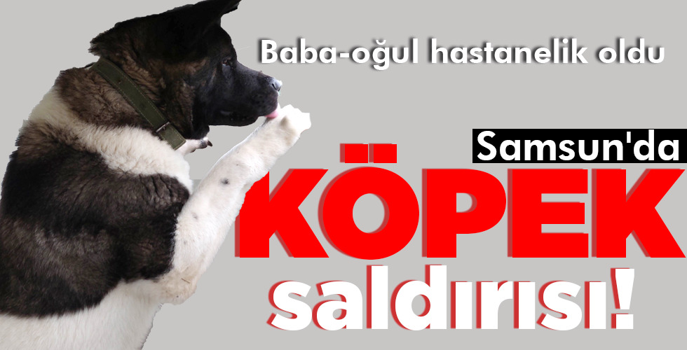 Samsun’da KÖPEK saldırısı!