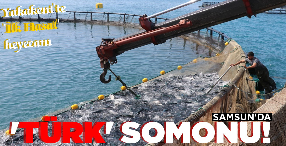 ‘TÜRK’ SOMONU!