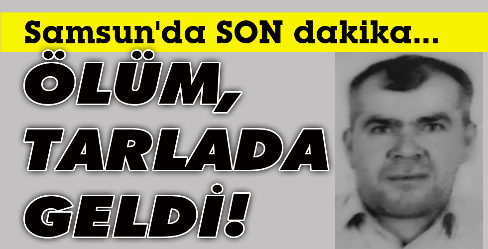 ÖLÜM, TARLADA GELDİ!