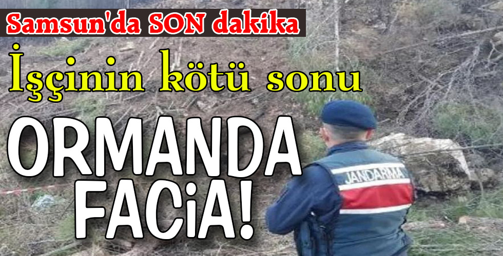 ORMANDA FACİA!
