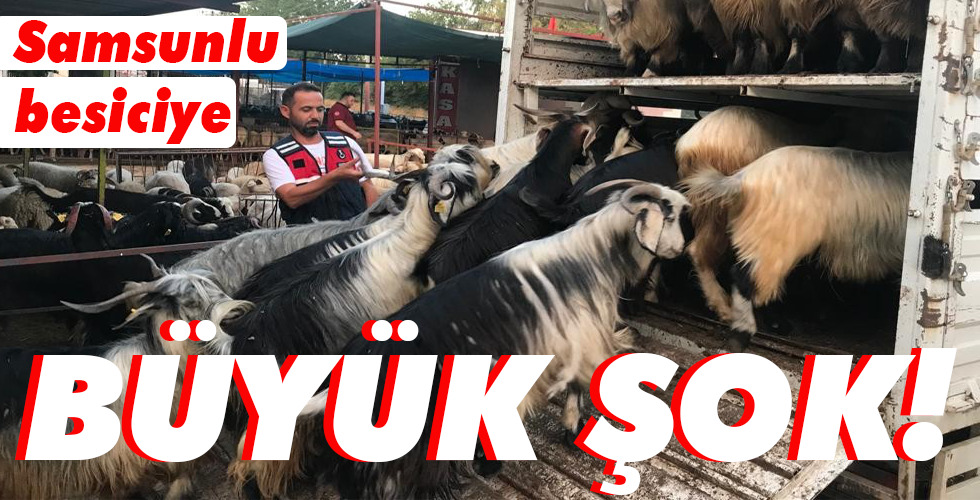 Samsunlu besiciye BÜYÜK ŞOK!