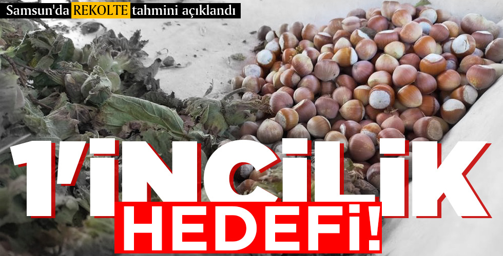 1’İNCİLİK HEDEFİ!
