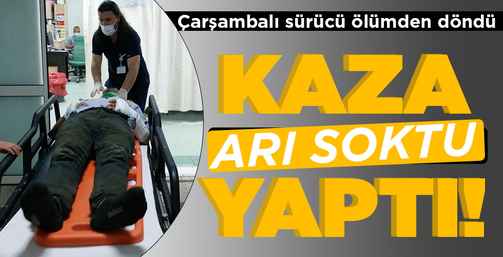 ARI SOKTU  KAZA YAPTI!