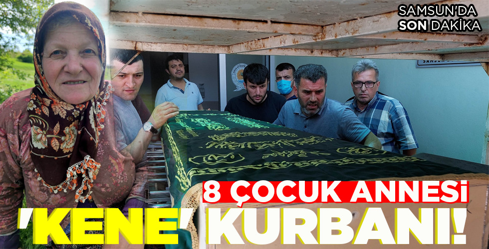 ‘KENE’ KURBANI!