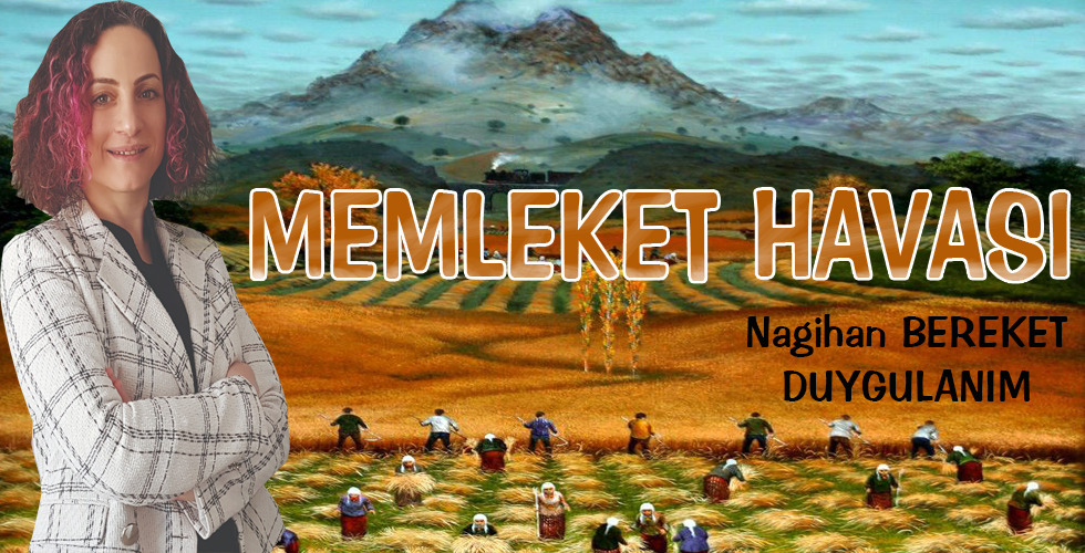 MEMLEKET HAVASI
