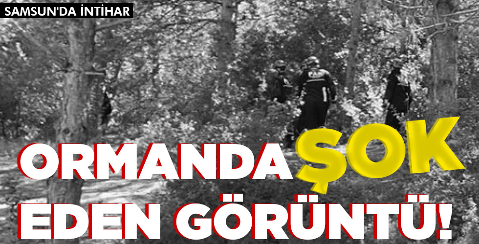 ORMANDA ŞOK   EDEN GÖRÜNTÜ!