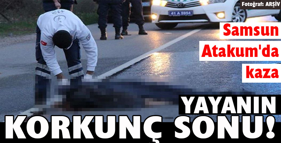 YAYANIN KORKUNÇ SONU!
