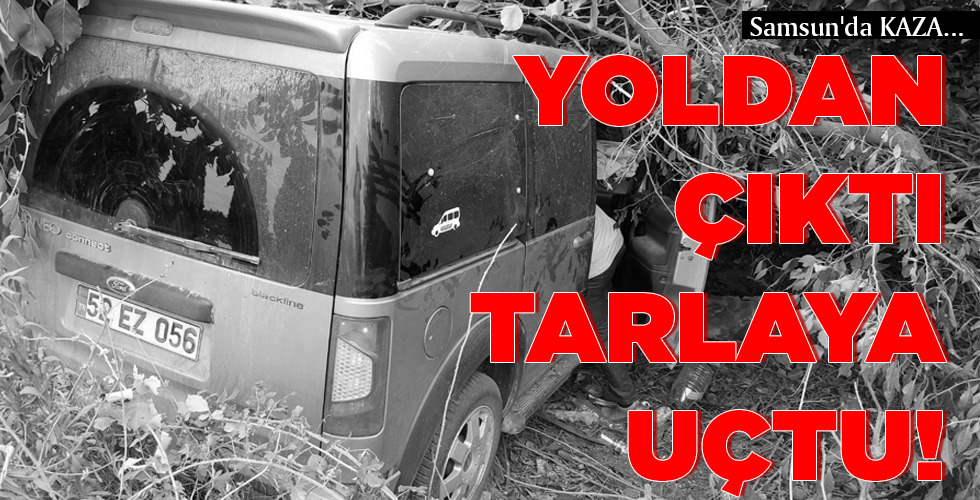 YOLDAN ÇIKTI  TARLAYA UÇTU!